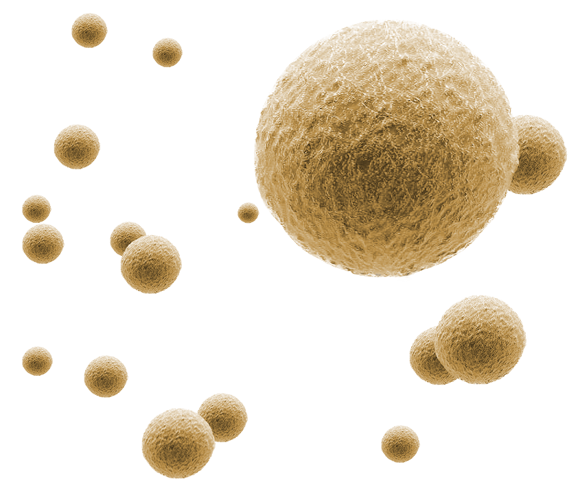 Pearl Diagnostics - Cell Vesicles